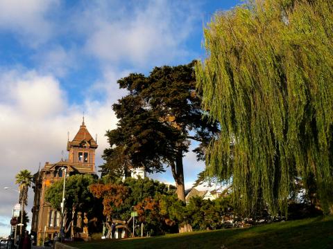 [Photo : Alamo Square maison victorienne San Francisco]